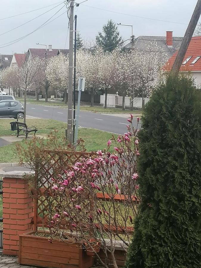 Marina-Bük Apartmanház Dış mekan fotoğraf